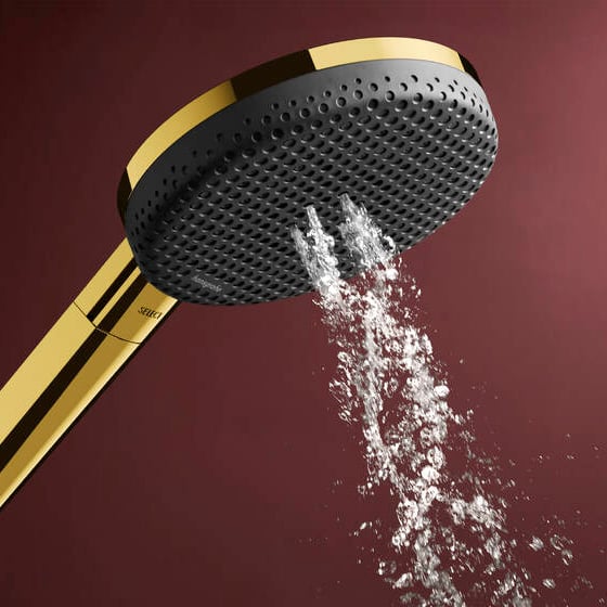 Hansgrohe Raindance Alive Select S 125 Handdouche 3 straalsoorten Polished Gold Optic