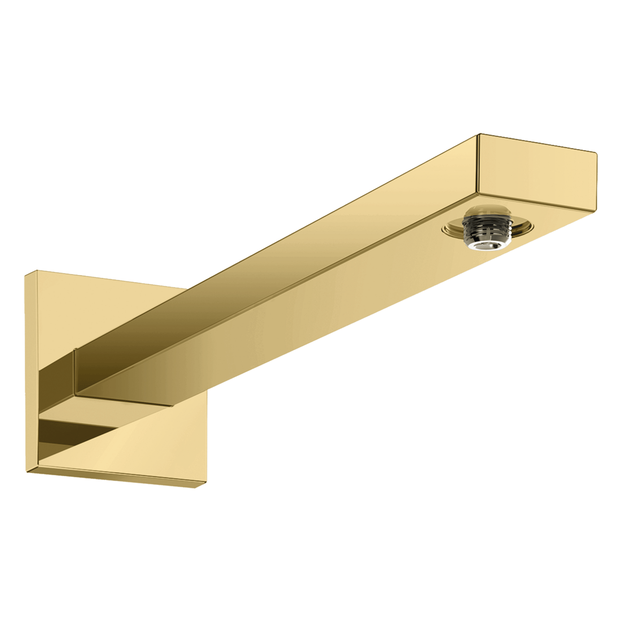 Hansgrohe douchearm E 39 cm Polished Gold Optic
