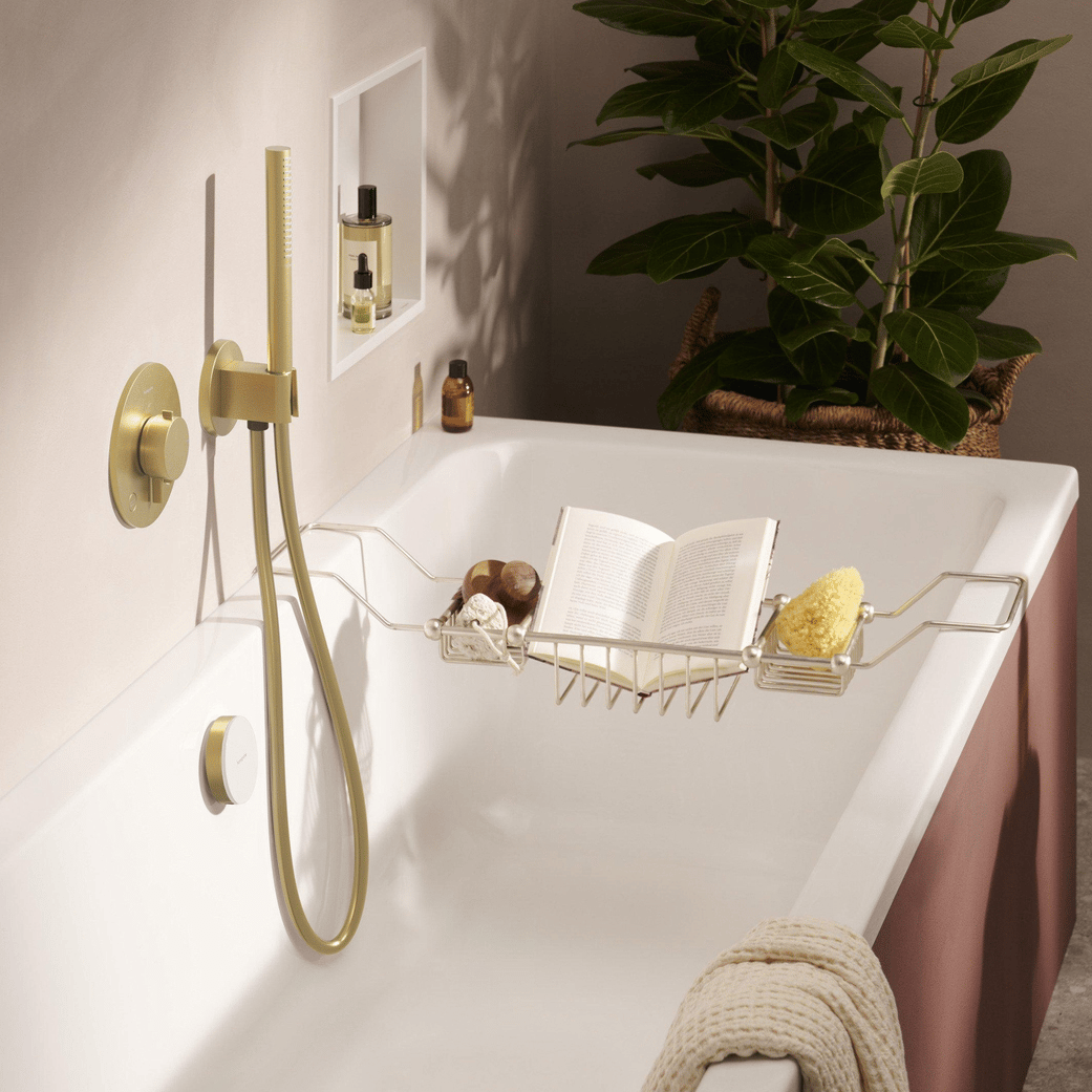Hansgrohe Pulsify S100 EcoSmart handdouche 1 straalfunctie Polished Gold Optic