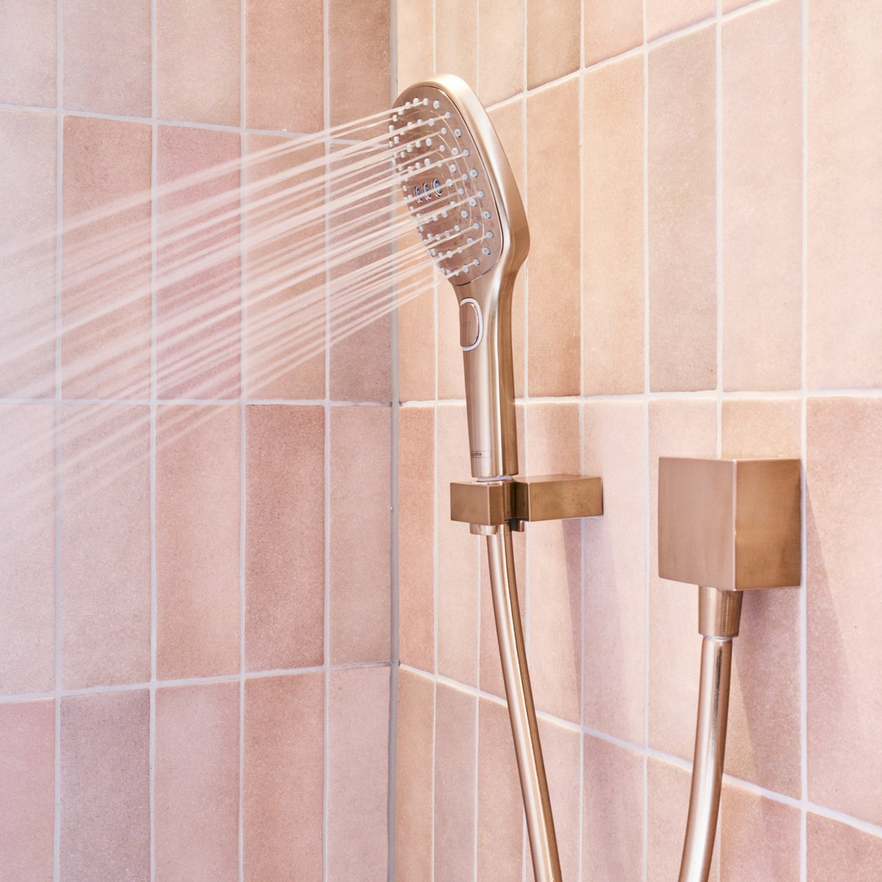 Hansgrohe Raindance Select E 120 Handbrause: 3jet, Brushed Bronze