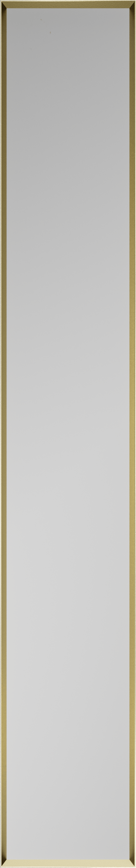 Balmani Auro Gäste-WC Spiegel: rechteckig, Brushed Champagne Gold, 17 x 109 cm