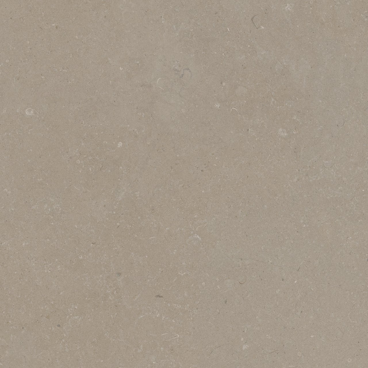 Carruzo Sierra keramische vloer- en wandtegels 4 stuks 60x60cm Crema
