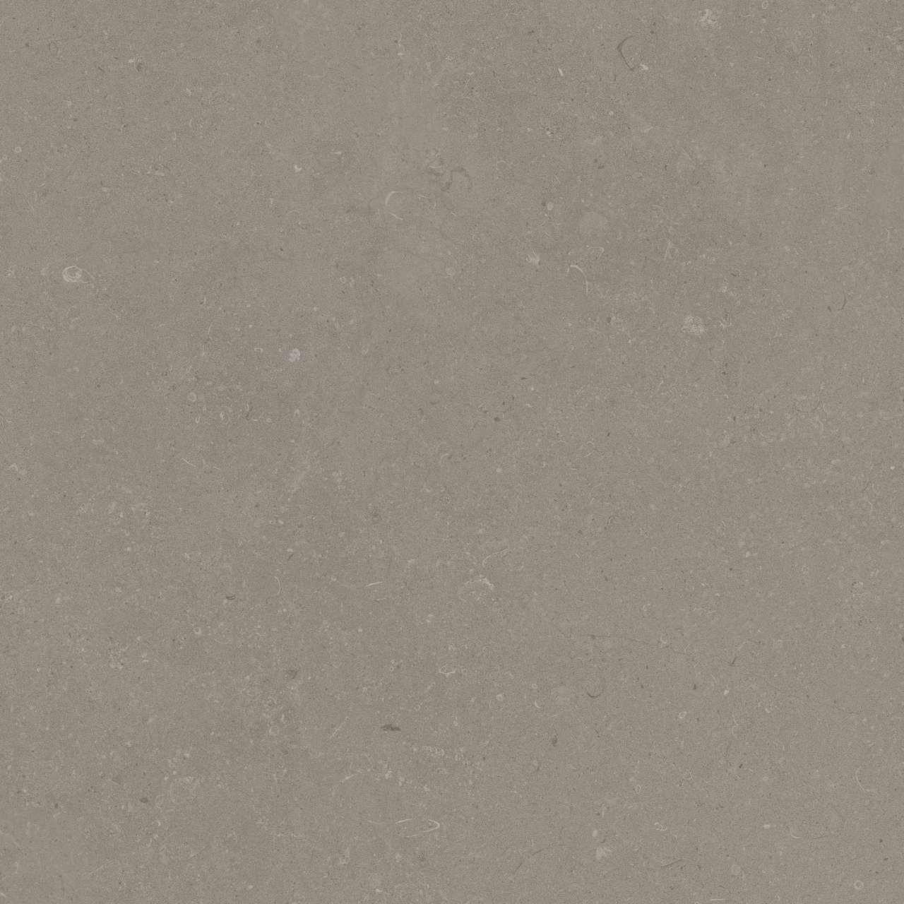 Carruzo Sierra keramische vloer- en wandtegels 2 stuks 90x90cm Piedra