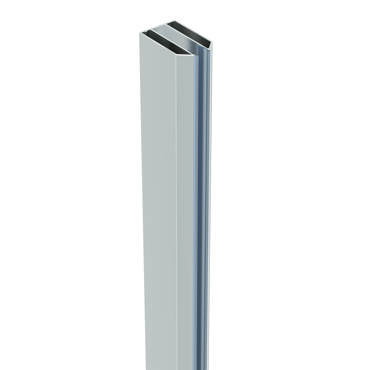 Linie Walk-In Walk-In Dusche: 100 x 200 cm, Klarglas, Chrom Profil, glänzend