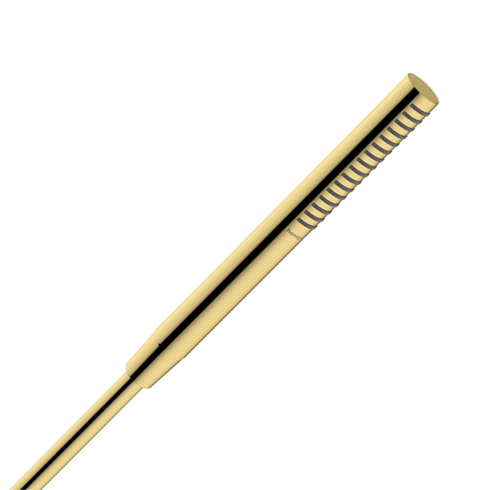 Hansgrohe Pulsify S100 EcoSmart handdouche 1 straalfunctie Polished Gold Optic