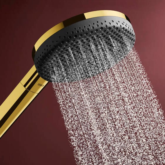 Hansgrohe Raindance Alive Select S 125 Handdouche 3 straalsoorten Polished Gold Optic