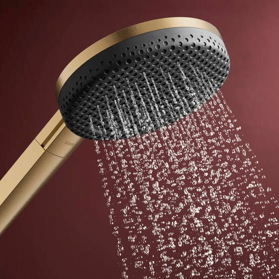 Hansgrohe Raindance Alive Select S 125 douchette 3 fonctions de jet Brushed Bronze