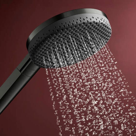 Hansgrohe Raindance Alive Select S 125 douchette 3 fonctions de jet Brushed Black Chrome