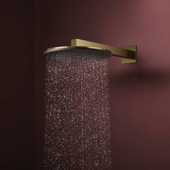 Hansgrohe Raindance Alive S Hoofddouche rond, 2 jet, Ø30cm Polished Gold Optic