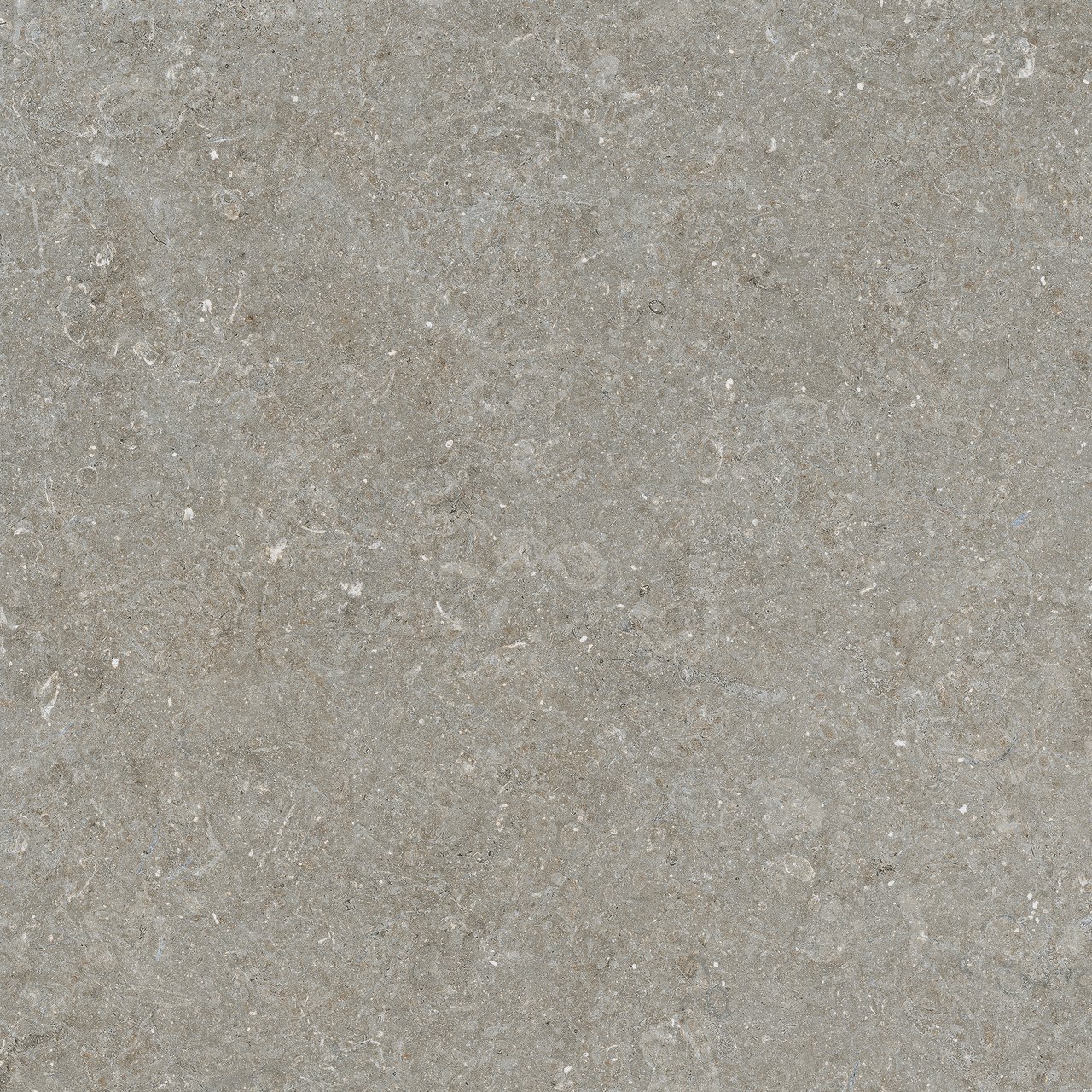 Carruzo Monte keramische vloer- en wandtegels 4 stuks 60x60cm Piedra