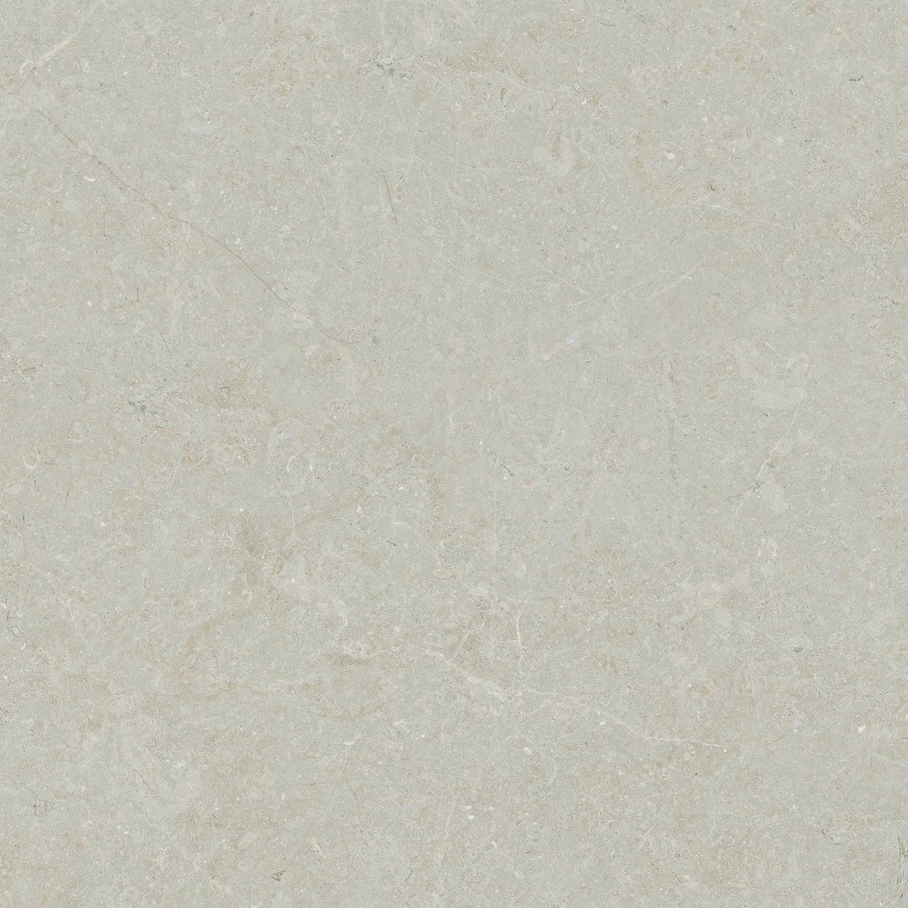 Carruzo Monte keramische vloer- en wandtegels 4 stuks 60x60cm Perla