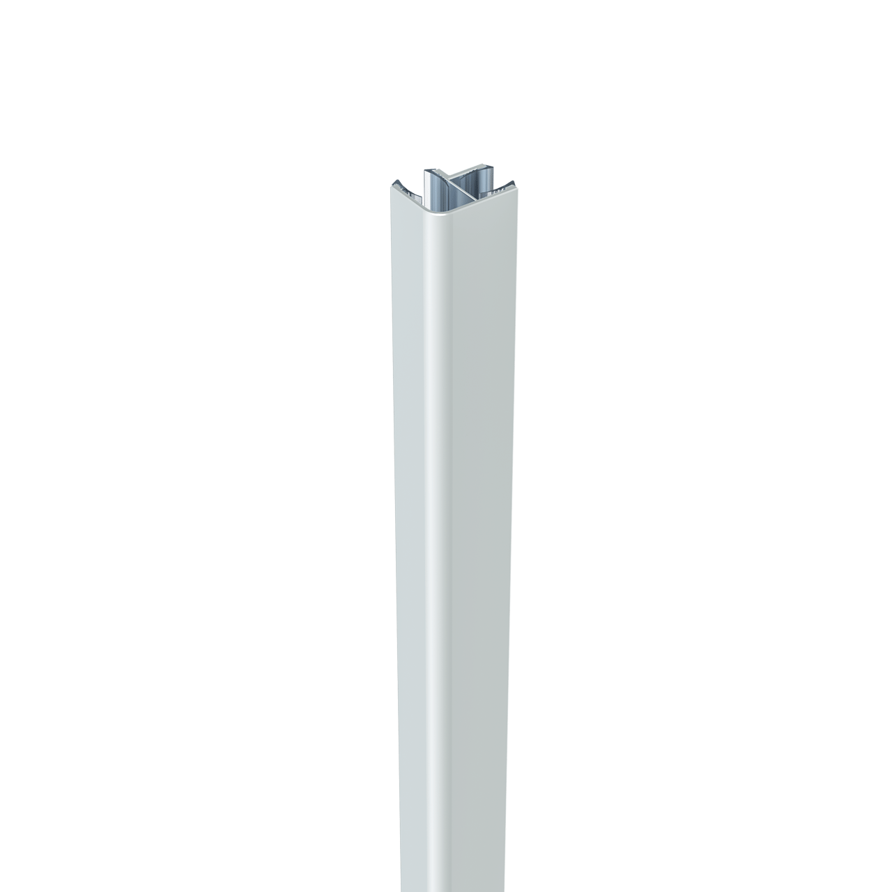 Linie Walk-in II jeu de profilés d'angle verre 8 mm chrome