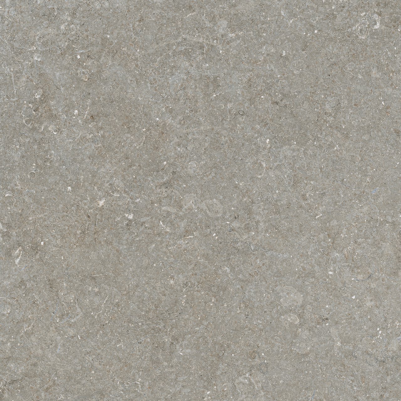 Carruzo Monte keramische vloer- en wandtegels 2 stuks 60x120cm Piedra