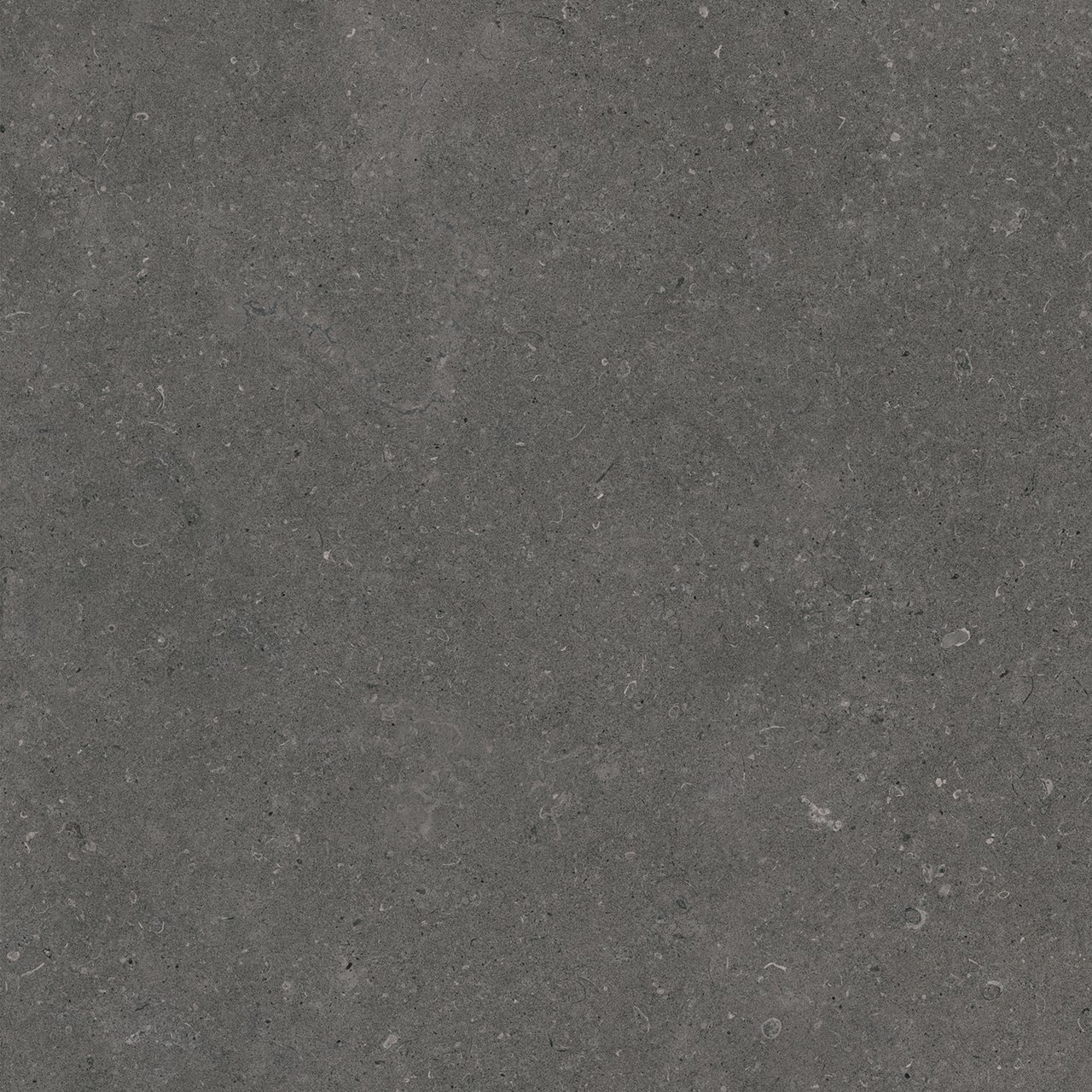 Carruzo Sierra keramische vloer- en wandtegels 2 stuks 60x120cm Grafito