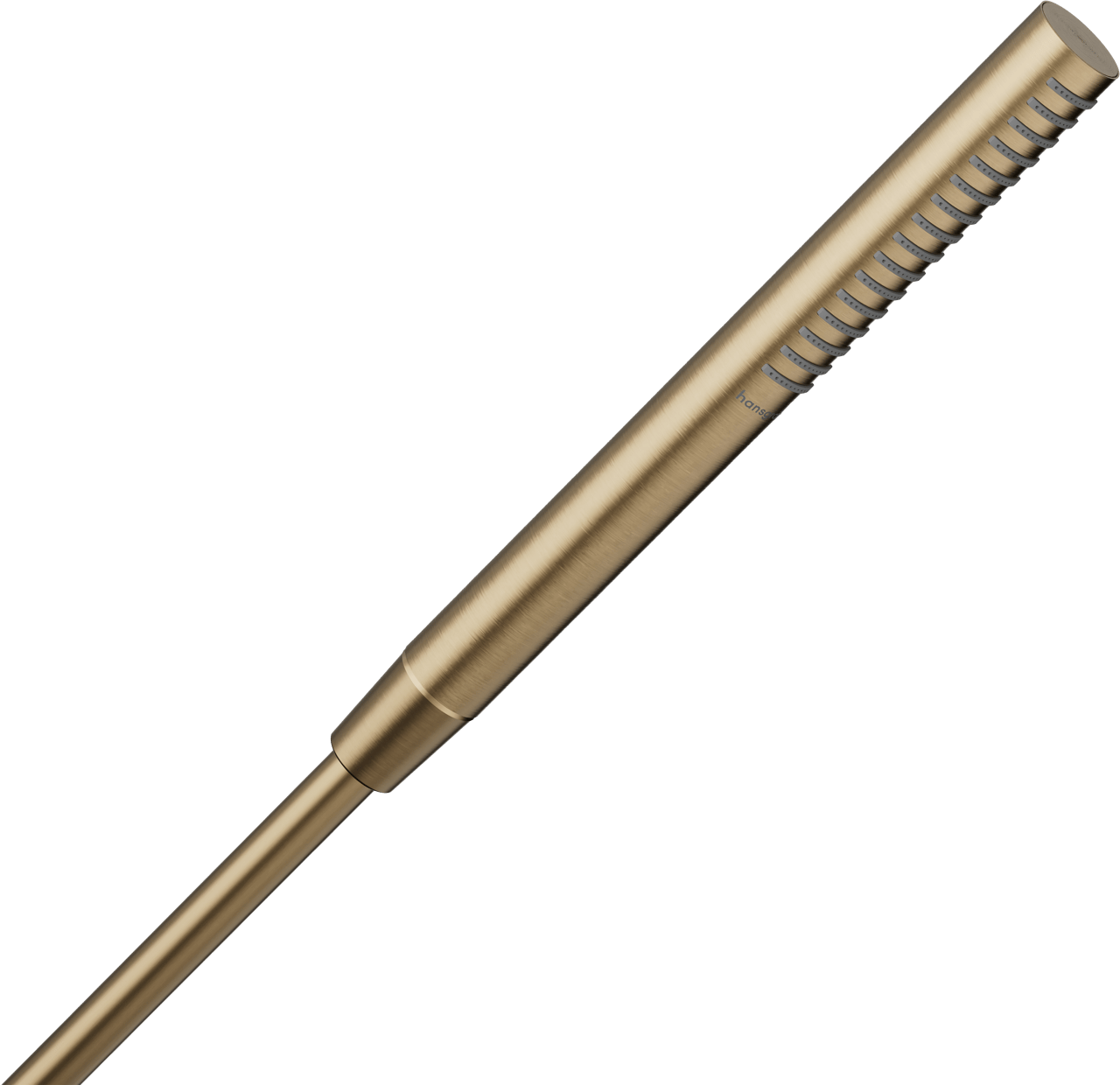 Hansgrohe Pulsify S100 EcoSmart+ Handbrause 1 Strahlfunktion Brushed Bronze
