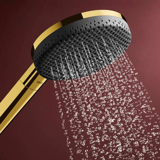 Hansgrohe Raindance Alive Select S 125 Handdouche 3 straalsoorten Polished Gold Optic