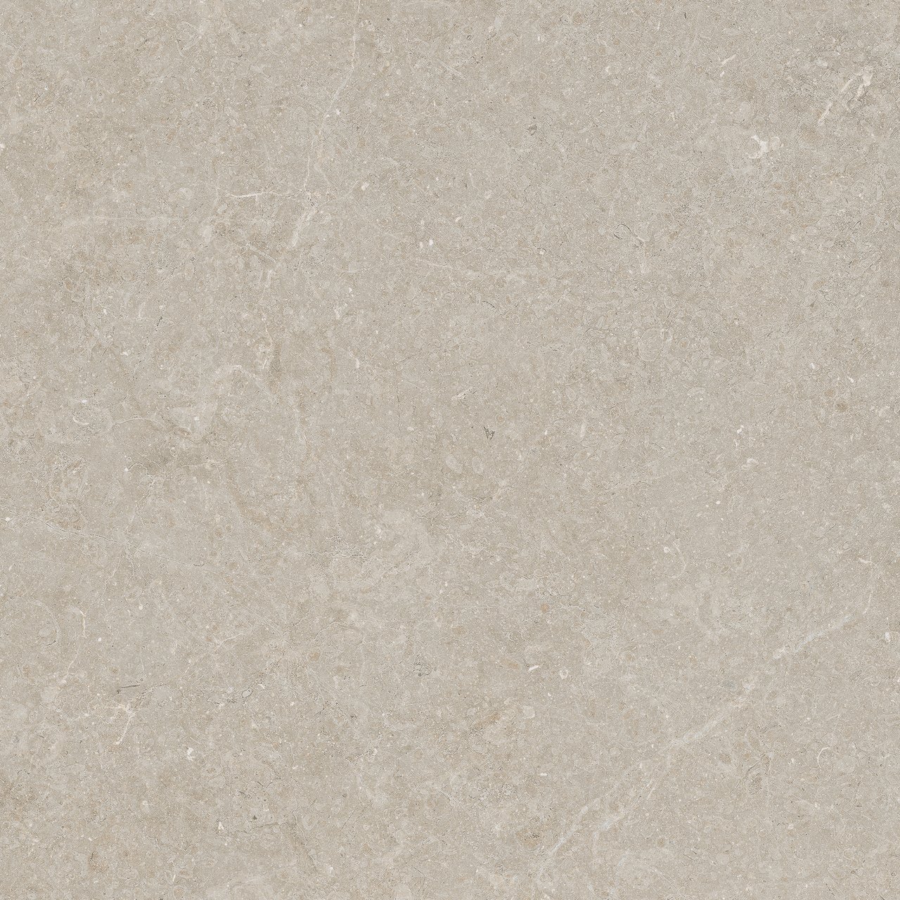 Carruzo Monte keramische vloer- en wandtegels 4 stuks 60x60cm Crema