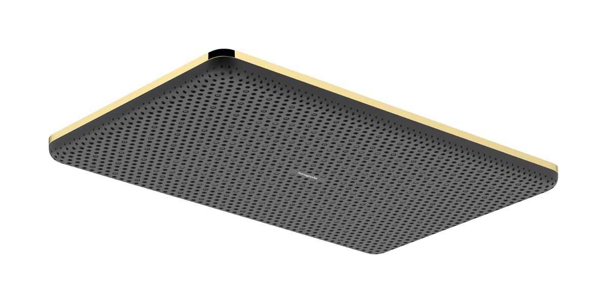 Hansgrohe Raindance Alive Q Tête de douche rectangulaire, 1 jet, 21/34cm Polished Gold Optic