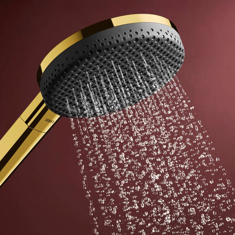 Hansgrohe Raindance Alive Select S 125 Handbrause-Set 3 Strahlfunktionen Polished Gold Optic