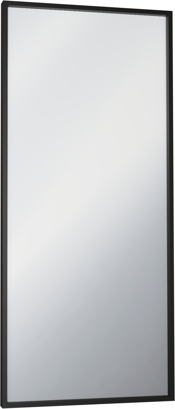 Balmani Expo rechthoekig toiletspiegel zwart 40 x 90 cm