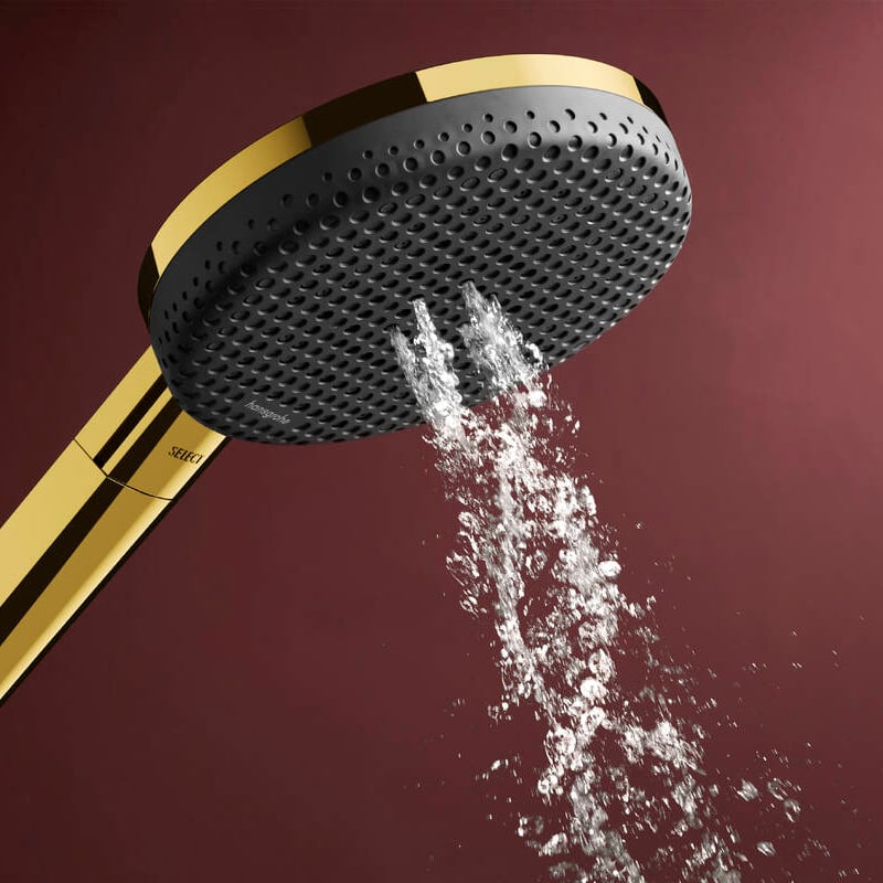Hansgrohe Raindance Alive Select S 125 Handbrause-Set 3 Strahlfunktionen Polished Gold Optic