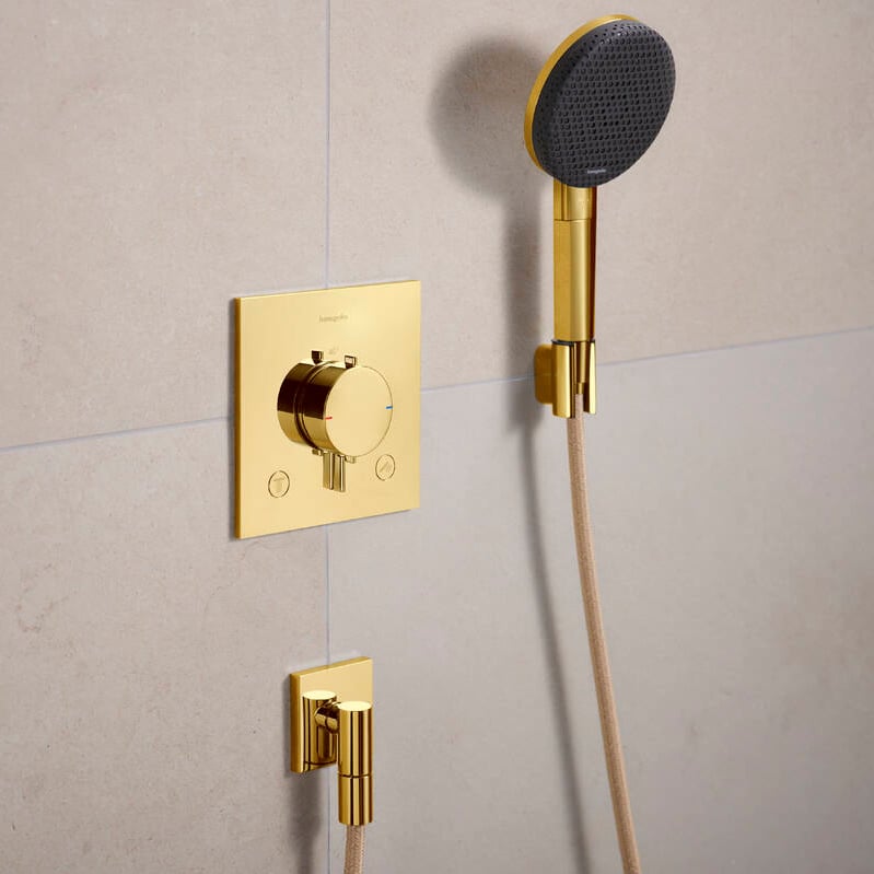 Hansgrohe Raindance Alive Select S 125 Handbrause-Set 3 Strahlfunktionen Polished Gold Optic