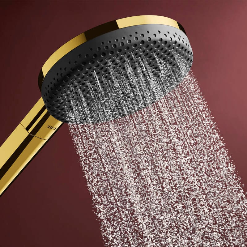 Hansgrohe Raindance Alive Select S 125 Handbrause-Set 3 Strahlfunktionen Polished Gold Optic