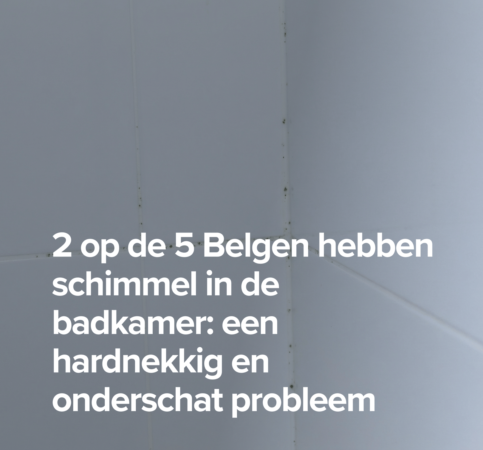 Detailfoto van witte wandtegels in een badkamerhoek met zwarte schimmelvorming in de voegen en kitranden; links in beeld staat de tekst “2 op de 5 Belgen hebben schimmel in de badkamer: een hardnekkig en onderschat probleem