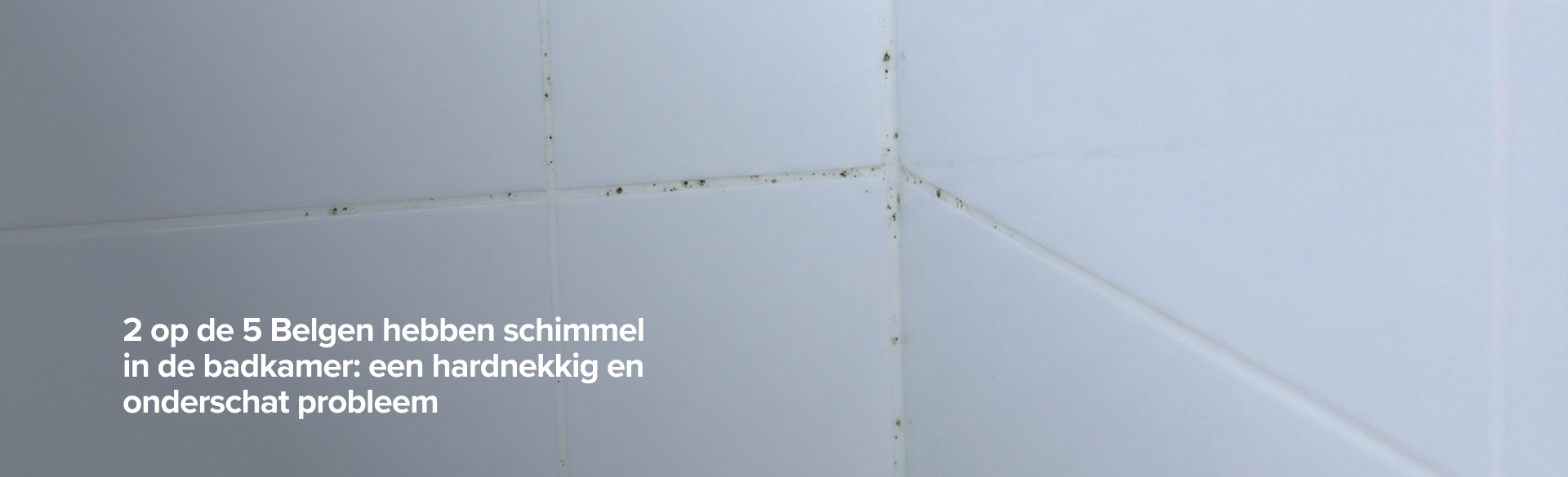 Detailfoto van witte wandtegels in een badkamerhoek met zwarte schimmelvorming in de voegen en kitranden; links in beeld staat de tekst “2 op de 5 Belgen hebben schimmel in de badkamer: een hardnekkig en onderschat probleem