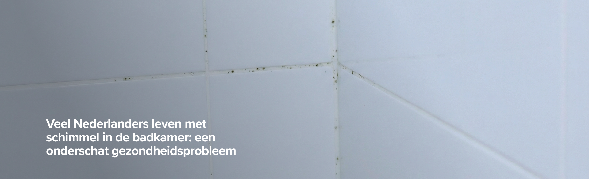 Close-up van witte badkamertegels in een hoek waar zwarte schimmel zichtbaar is langs de voegen, vooral in de kitnaden en tegelranden; links staat de tekst “Veel Nederlanders leven met schimmel in de badkamer: een onderschat gezondheidsprobleem”.