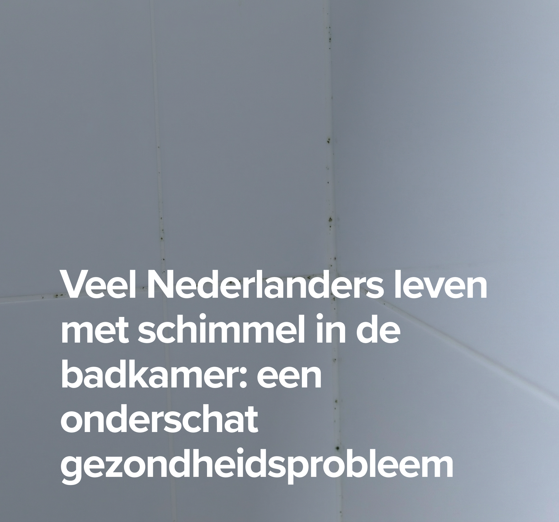 Close-up van witte badkamertegels in een hoek waar zwarte schimmel zichtbaar is langs de voegen, vooral in de kitnaden en tegelranden; links staat de tekst “Veel Nederlanders leven met schimmel in de badkamer: een onderschat gezondheidsprobleem”.