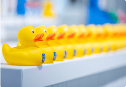 Rangée de canards jaunes avec logo X2O sur comptoir de magasin