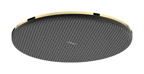 Hansgrohe Raindance Alive S Hoofddouche rond, 1 jet, Ø 30 cm Polished Gold Optic