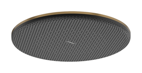 Hansgrohe Raindance Alive S Regendusche Duschkopf Rund, 1 Jet, Ø 30 cm, Brushed Bronze