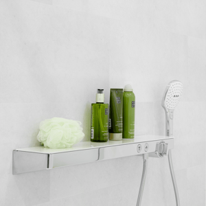 Hansgrohe Raindance Select E120 douchette