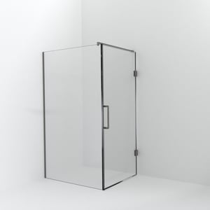 Balmani Modular inloopdouche met deur: 120 x 200 cm met deur 100 cm, Helder glas met coating, Brushed Inox profielen