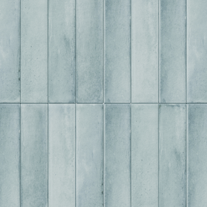 Carruzo Costa keramische wandtegels 34 stuks 6x24_6cm Aqua