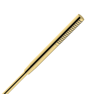 Hansgrohe Pulsify S100 EcoSmart handdouche 1 straalsoort Polished Gold Optic