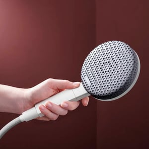 Hansgrohe Raindance Alive Select S 125 douchette
