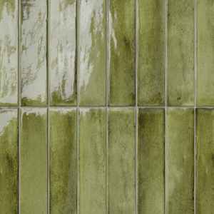 Carruzo Costa keramische wandtegels 34 stuks 6x24,6cm Selva