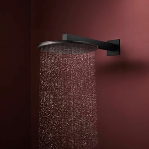 Hansgrohe Raindance Alive S tête de douche