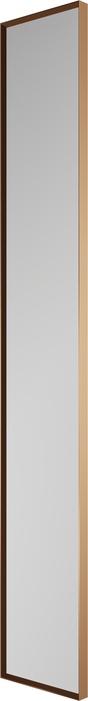 Balmani Auro rechthoekige toiletspiegel Brushed Rosegold 17 x 109 cm