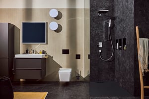 Hansgrohe Pulsify E260 tête de douche
