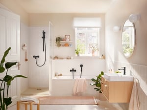 Hansgrohe Rebris S douchekraan