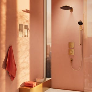 Hansgrohe Raindance Alive Select S 125 douchette