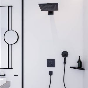 Hansgrohe Raindance E300 Kopfbrause