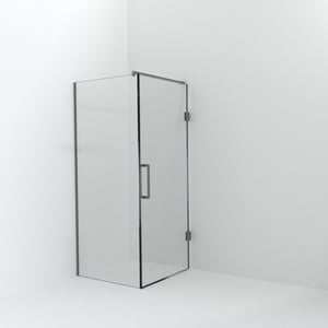 Balmani Modular inloopdouche met deur: 90 x 200 cm met deur 90 cm, Helder glas met coating, Brushed Inox profielen