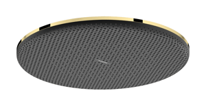 Hansgrohe Raindance Alive S Hoofddouche rond, 1 jet, Ø 30 cm Polished Gold Optic