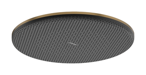 Hansgrohe Raindance Select Alive S Tête de douche ronde, 1 jet, Ø30cm Brushed Bronze