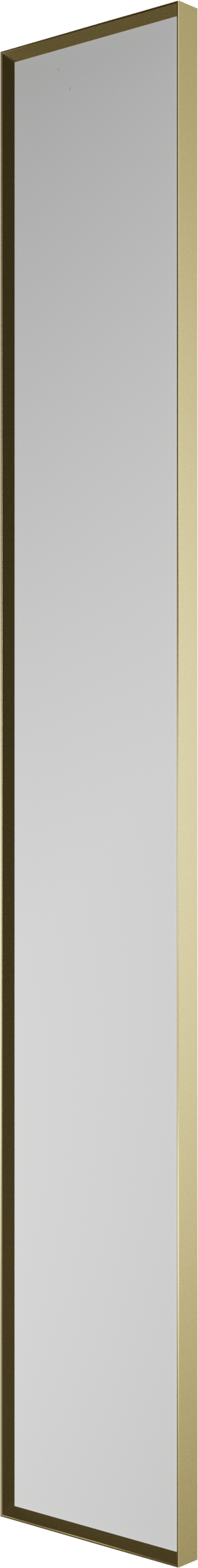 Balmani Auro rechthoekige toiletspiegel Brushed Champagne Gold 17 x 109 cm